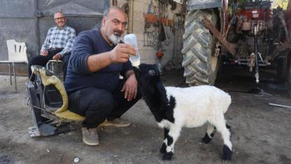 Annesi Telef Olan Karabaş'ı Biberonla Besliyor