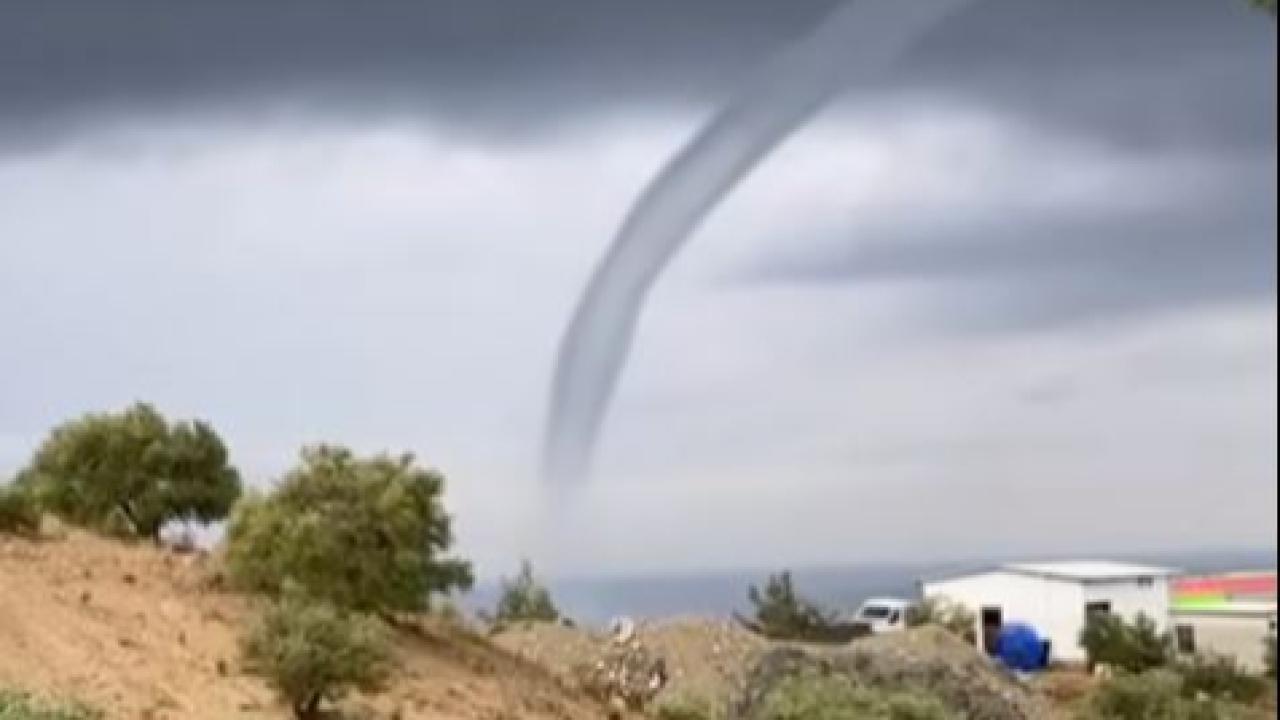 Arsuz Kıyılarında Korkutan Görüntü