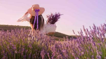 Gerçekten sakinleşmenize yardımcı olan bahçe bitkileri