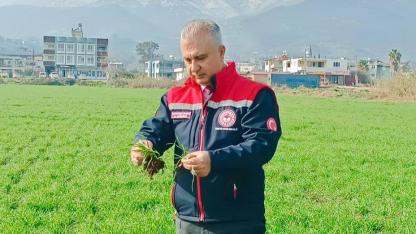 Hatay’da Buğday Tarlalarında Yerinde Denetim