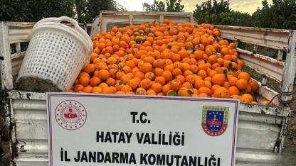 Hırsızlık Yapan 3 Şahıs Suçüstü Yakalandı