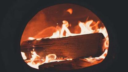 İki kat daha uzun süre dayanan üç odun çeşidi uzmanlar açıkladı