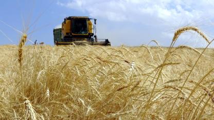 İKLİM TARIMI DÖNÜŞTÜRÜYOR
