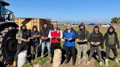 İl Müdürü Türkmen Reyhanlı’da Havuç Hasadına Katıldı