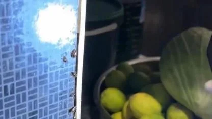 İskenderun AVM'DE Mide Bulandıran Görüntüler!