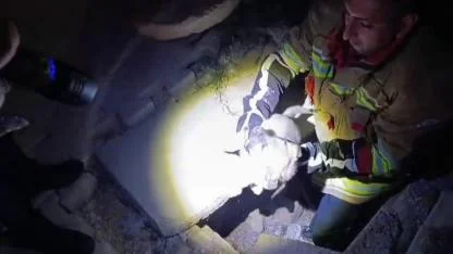 Kuyuya Düşen Yavru Köpeği İtfaiye Kurtardı