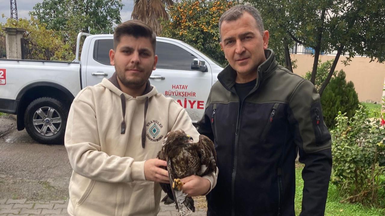 Mahsur Kalan Yırtıcı Kuş Doğaya Emanet Edildi