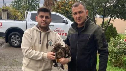 Mahsur Kalan Yırtıcı Kuş Doğaya Emanet Edildi