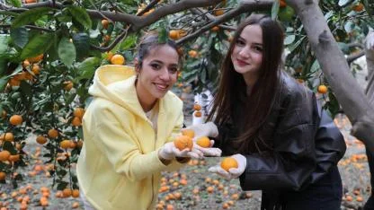 Mandalinalar İhtiyaç Sahiplerine Ücretsiz Dağıtılıyor