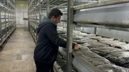 MANTAR VE ELEKTRİK ÜRETİYOR