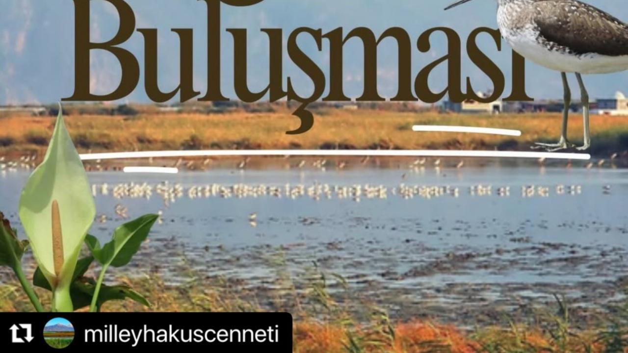 Milleyha'da Doğa Buluşması Başlıyor