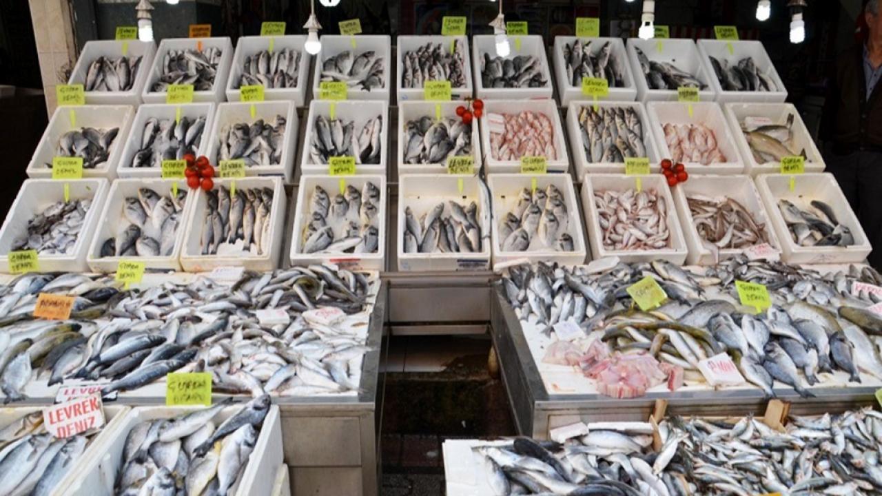 Ocak Ayında Balık Bolluğu