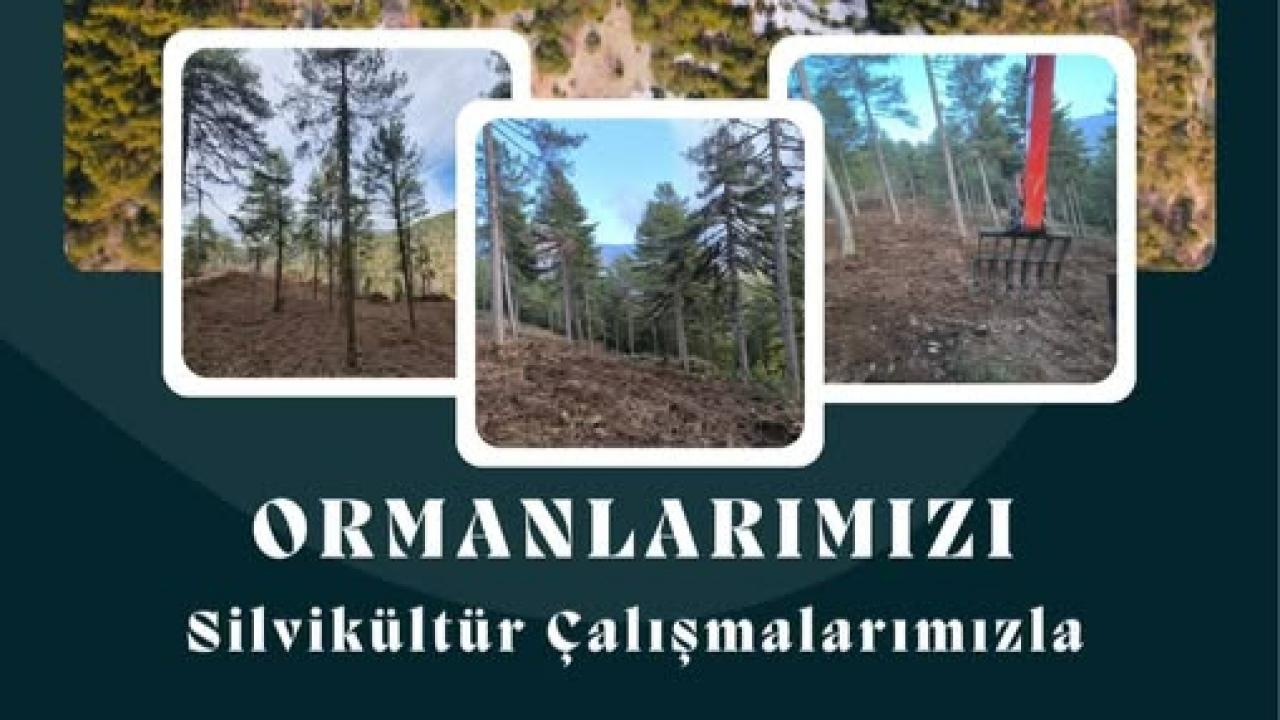 ORMAN KÖYLÜSÜNE DEV KATKI