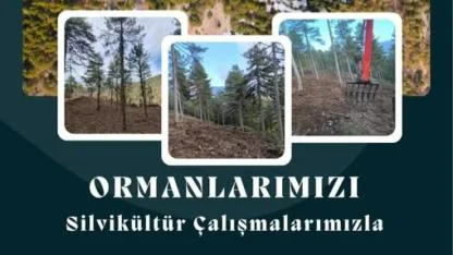 ORMAN KÖYLÜSÜNE DEV KATKI