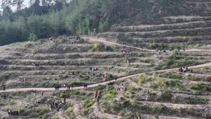 Ormanlık Alanların Daraltılmasına Uyarı