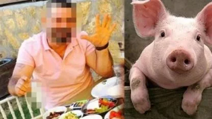 Mide Bulandıran Domuz Eti İddiası!