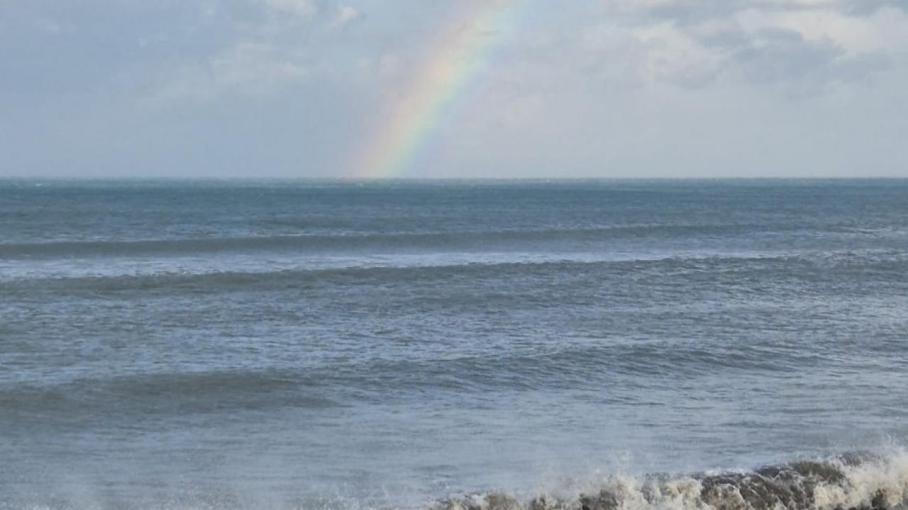 Samandağ’da Doğa Görsel Şölen Sundu