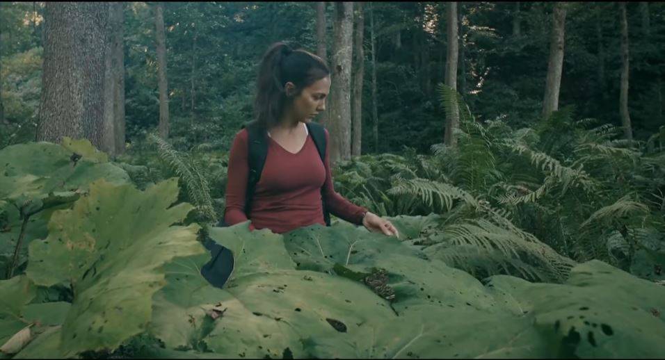 Kovan filmi hangi köyde çekildi? Kovan filmi konusu ve oyuncuları